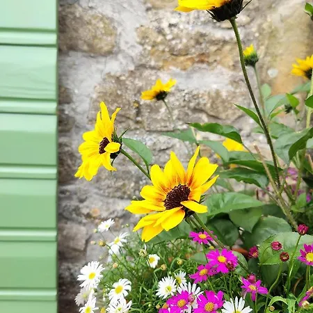 Вилла Casa Histria *